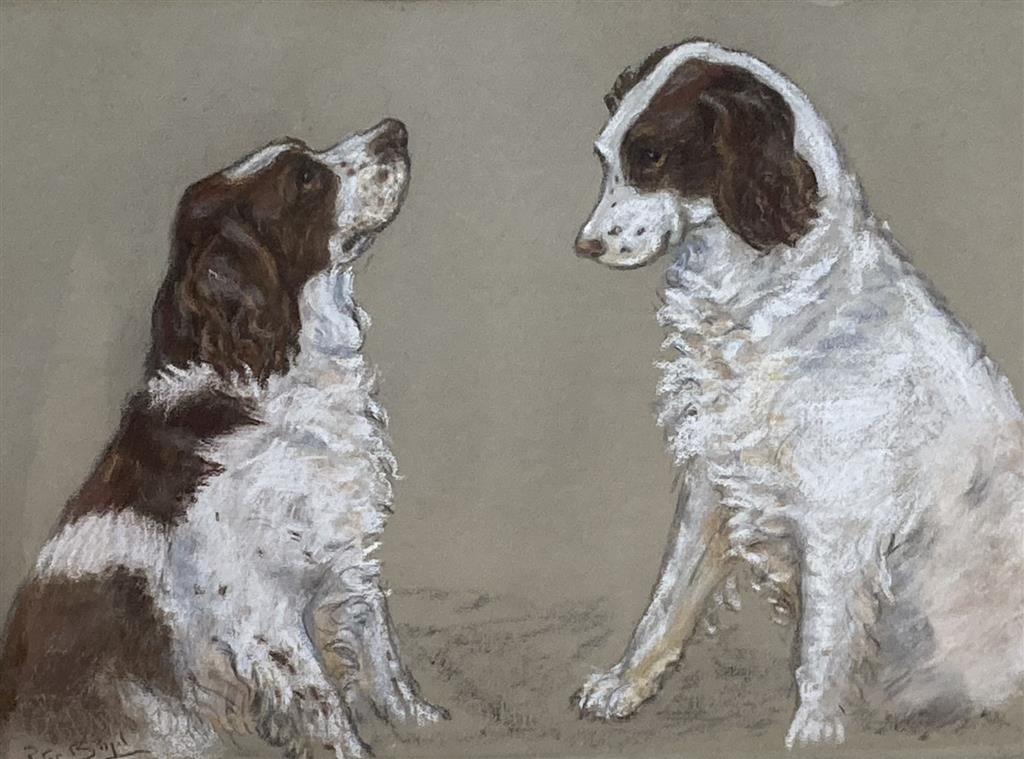 Peter Biegel (1913-1987), pastel, Studies of a Springer spaniel, signed, 34 x 44cm